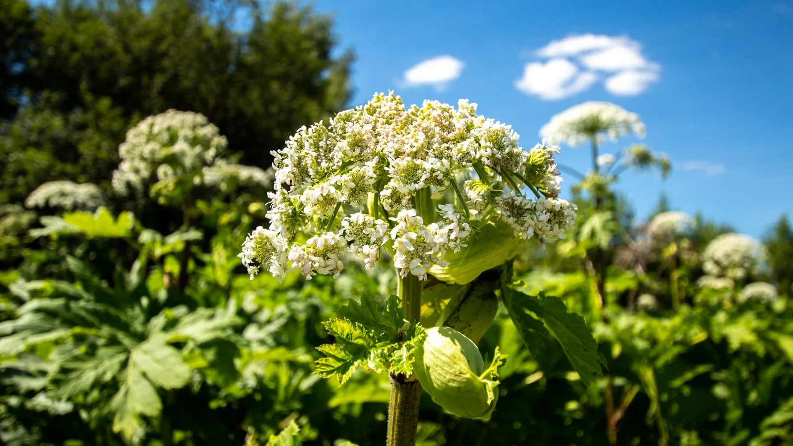 Фото: Медиасток.рф