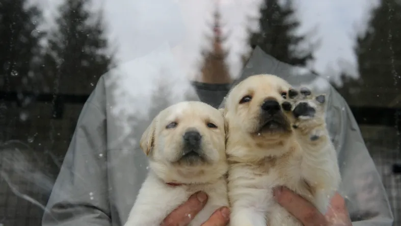 Фото: медиасток.рф