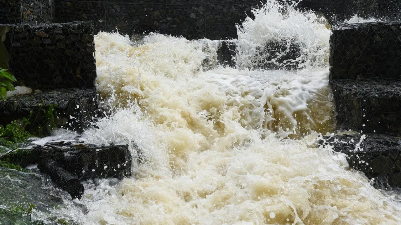 медиасток.рф