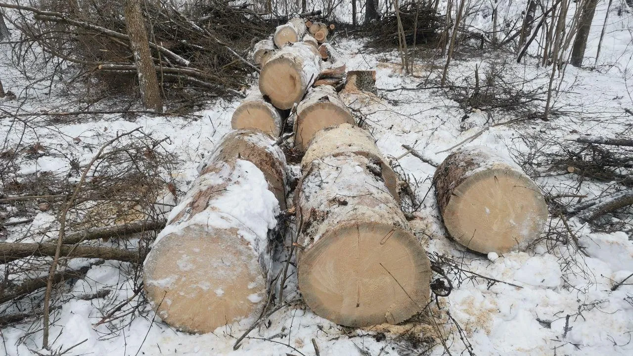 Пресс-служба администрации городского округа Красногорск