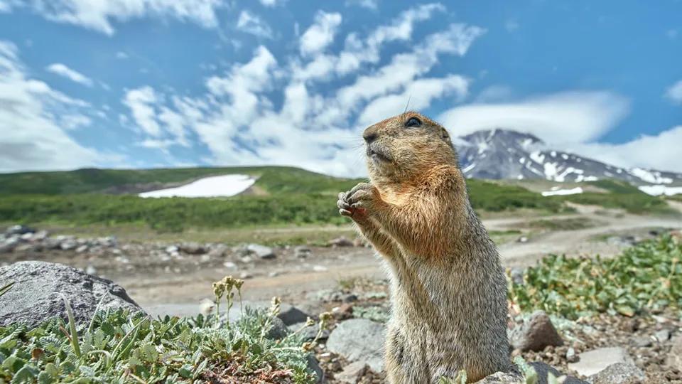 Фото: Анатолий Шишкин