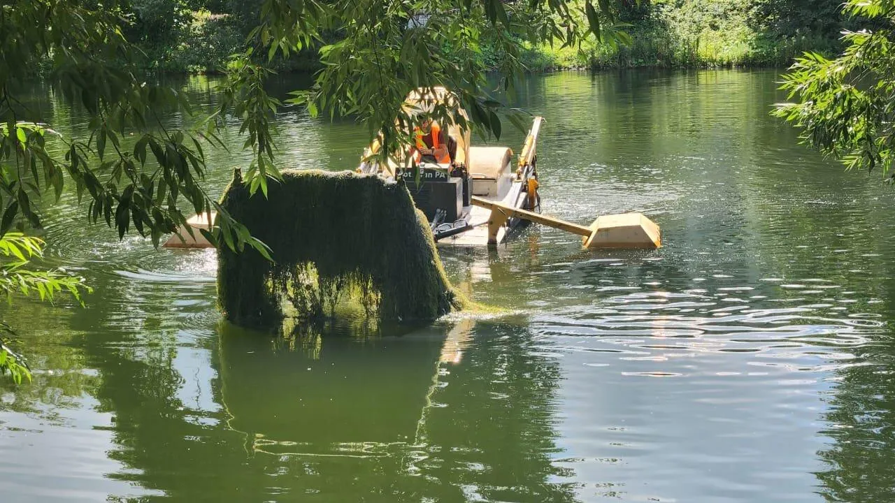 Фото: администрация городского округа Люберцы