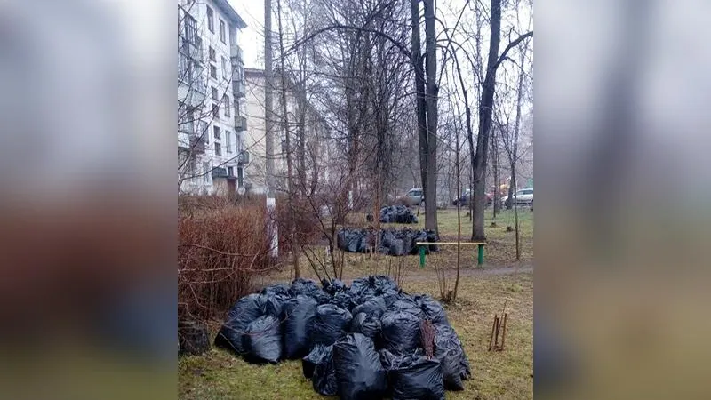 «Сами убрали, сами и вывозите!»: УК из Балашихи отказалась вывозить мусор с общедомового субботника
