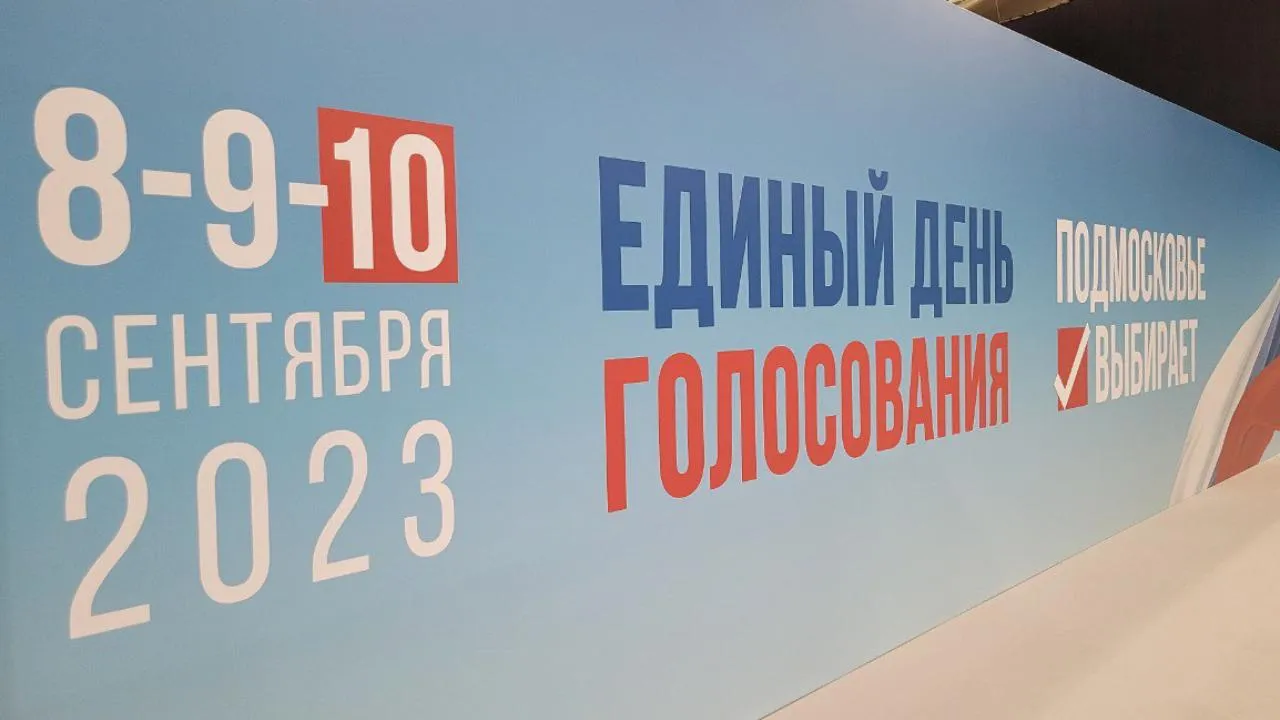 Явка на выборах в Подмосковье на 20:00 составила 22,43%