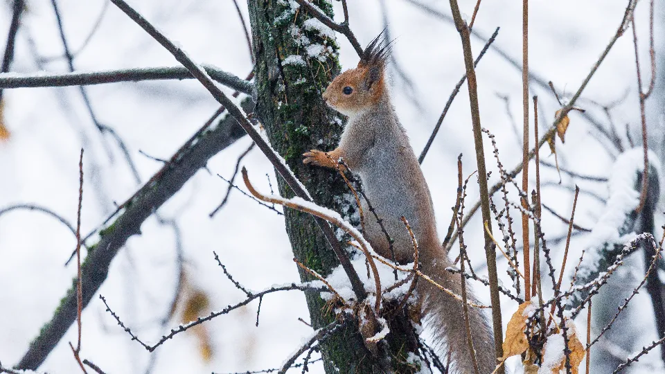 Фото: медиасток.рф