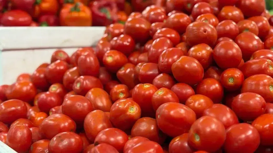 REGIONS/Сгенерировано нейросетью