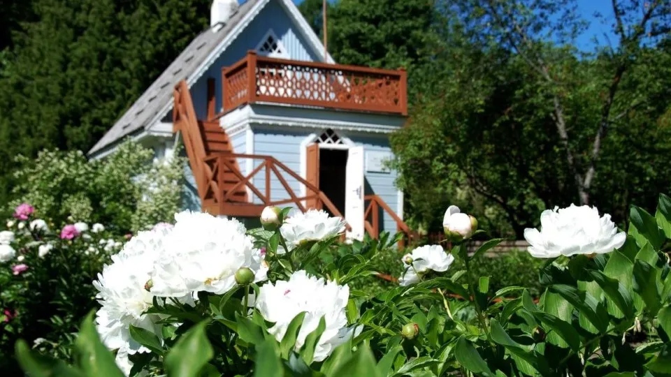 Фото: музей-заповедник А.П. Чехова «Мелихово»