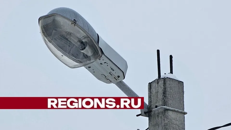 Фото: Александр Дрожжин