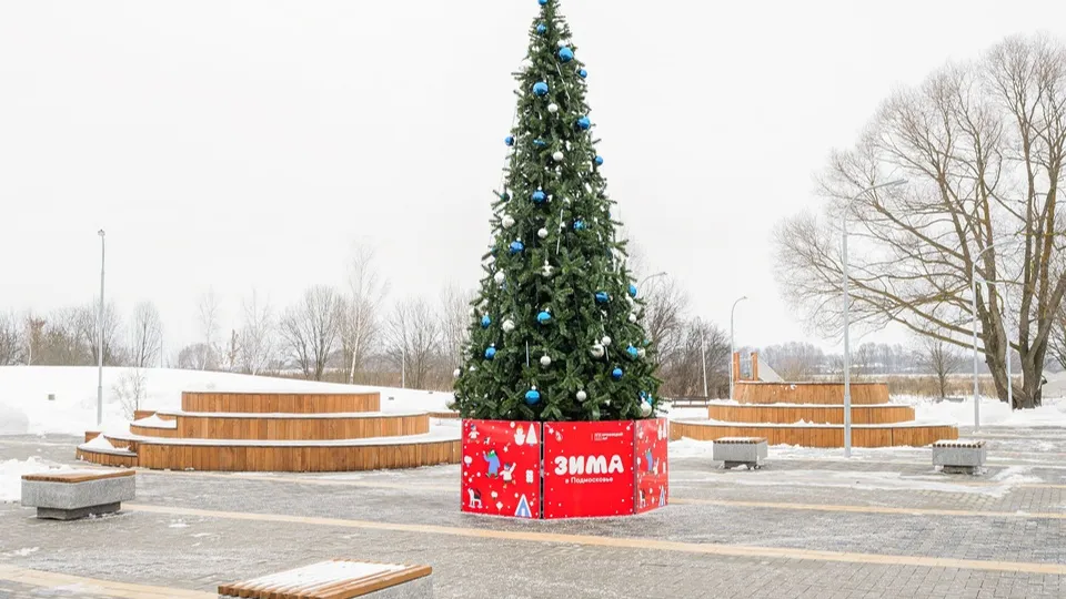 Фото: медиасток.рф