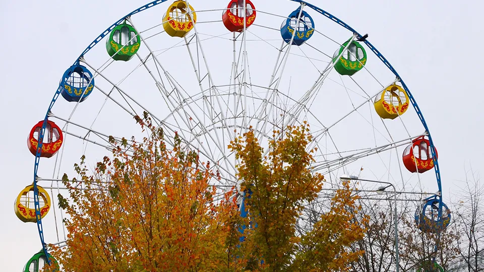 Фото: пресс-служба Администрации г.о. Серпухов