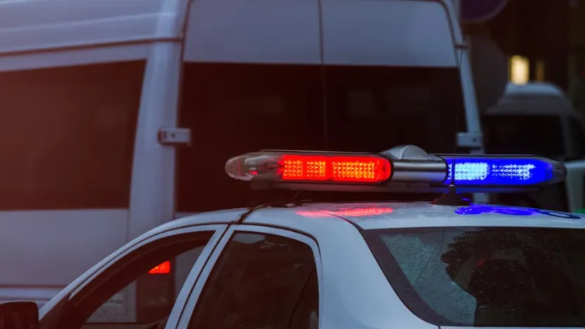 Фото: freepik.com