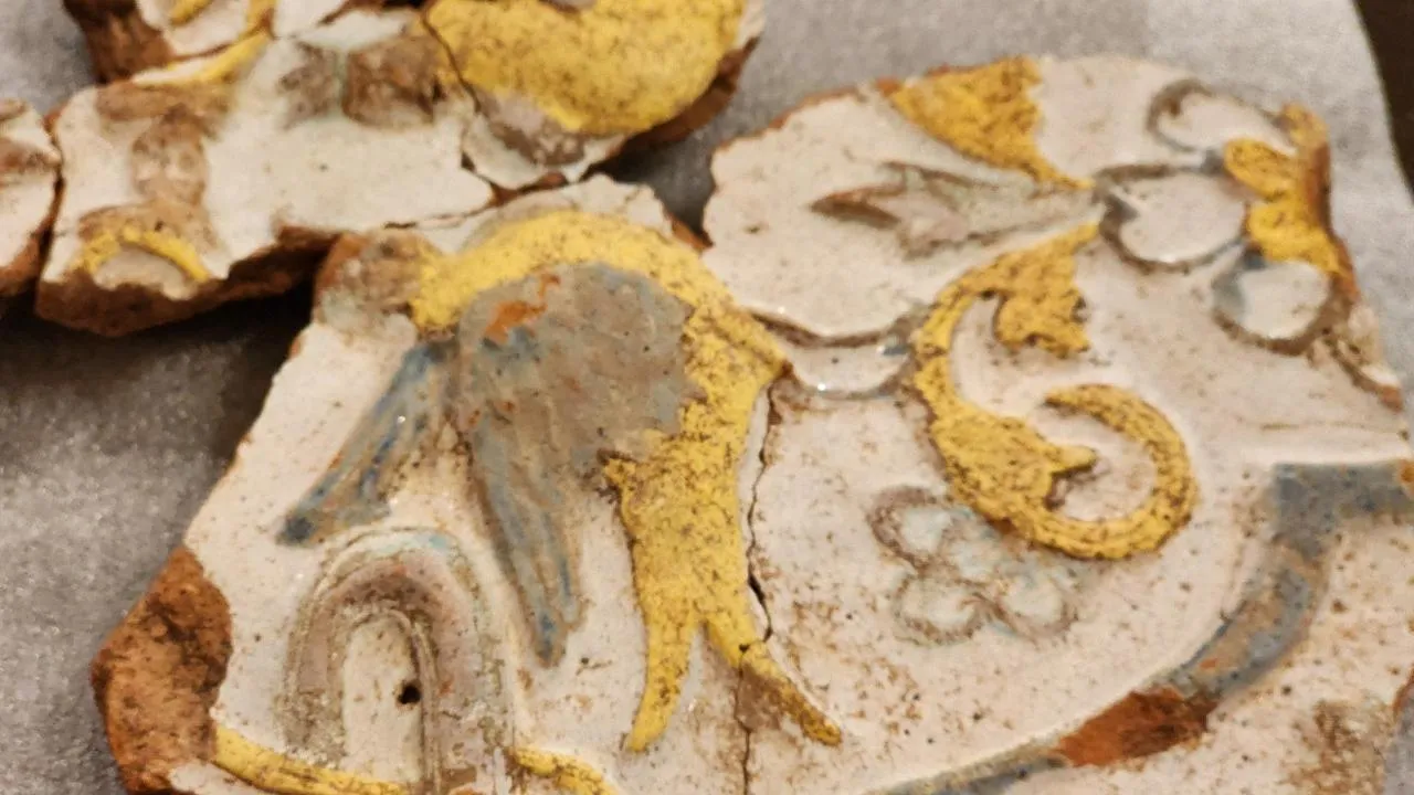 REGIONS/Елена Шумакова