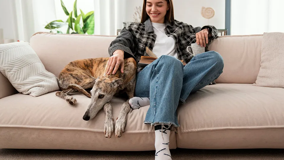 Фото: freepik.com