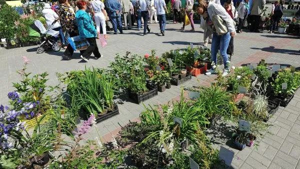 Александр Кондратюк / РИА Новости 
