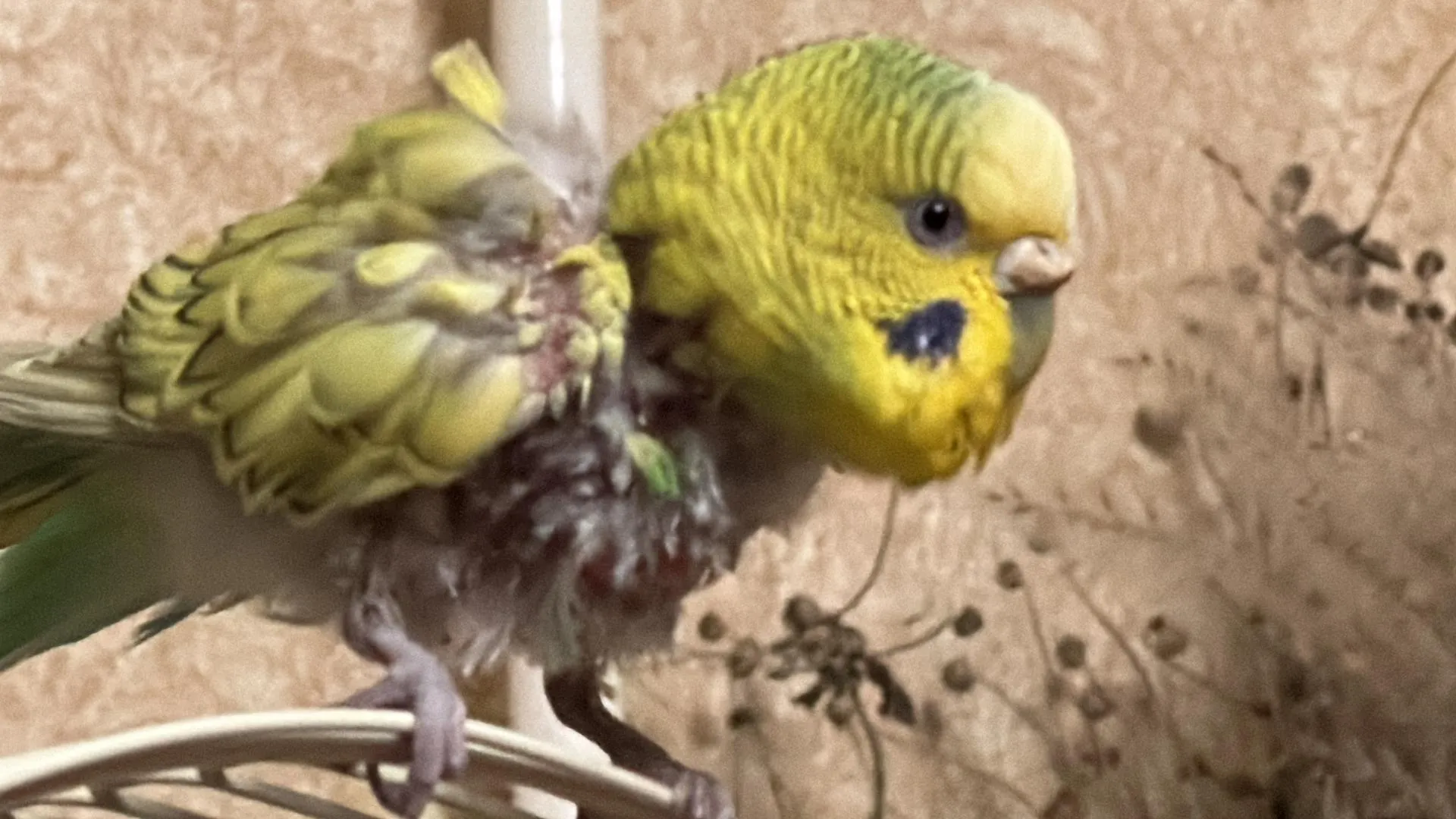 Фото: Мария Шматкова