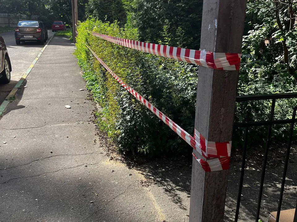 Фото: пресс-служба администрации Одинцовского г.о.