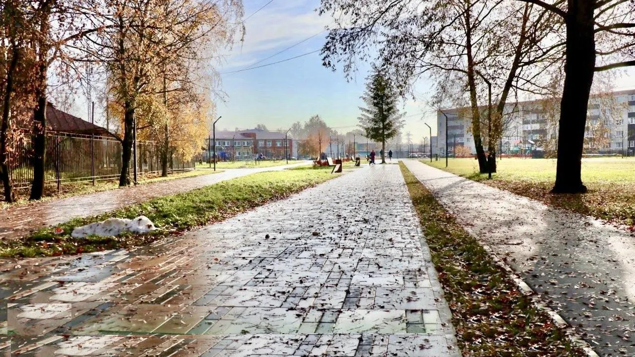 фото: пресс-служба администрации Павлово-Посадского городского округа