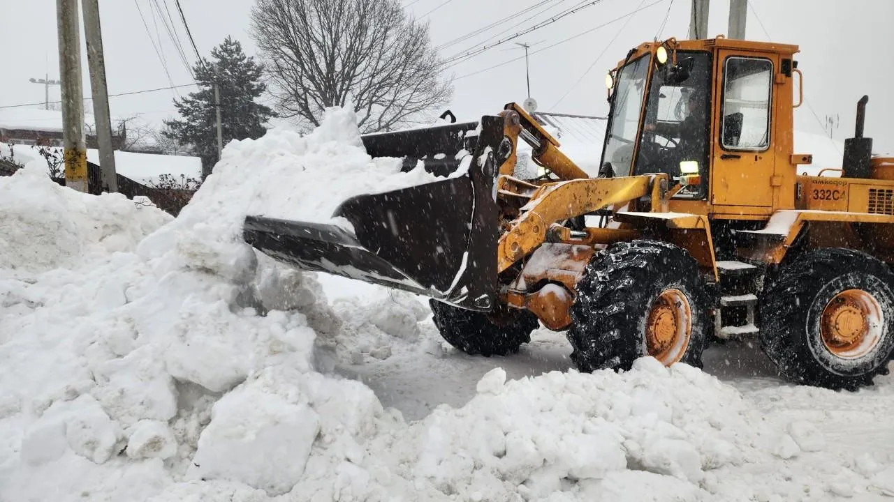 REGIONS/Екатерина Мелкозерова