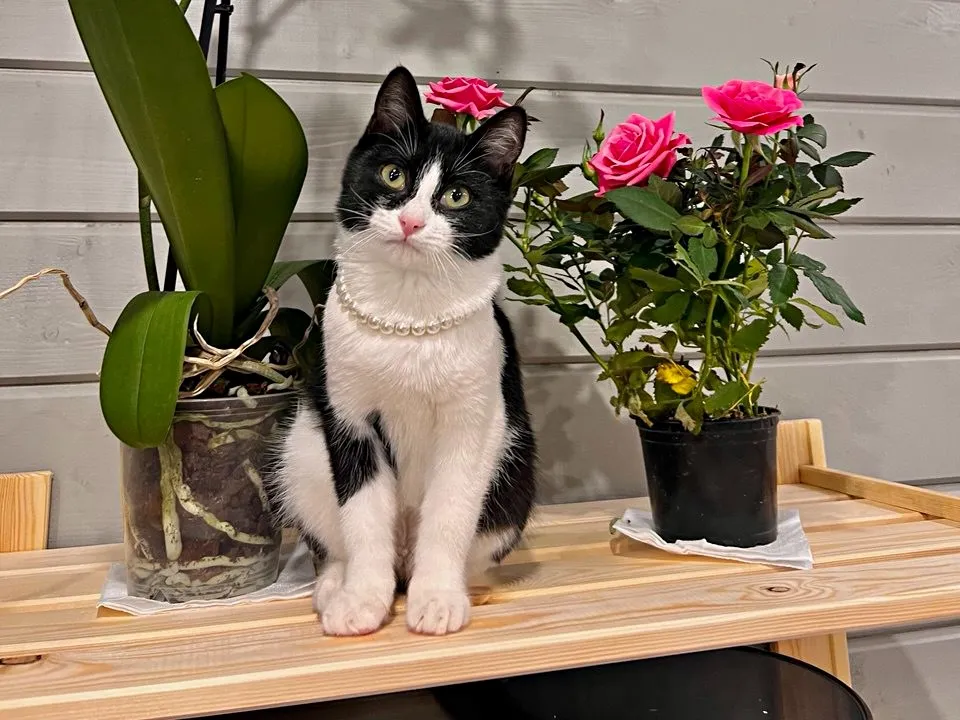 Фото: Максим Зубарев