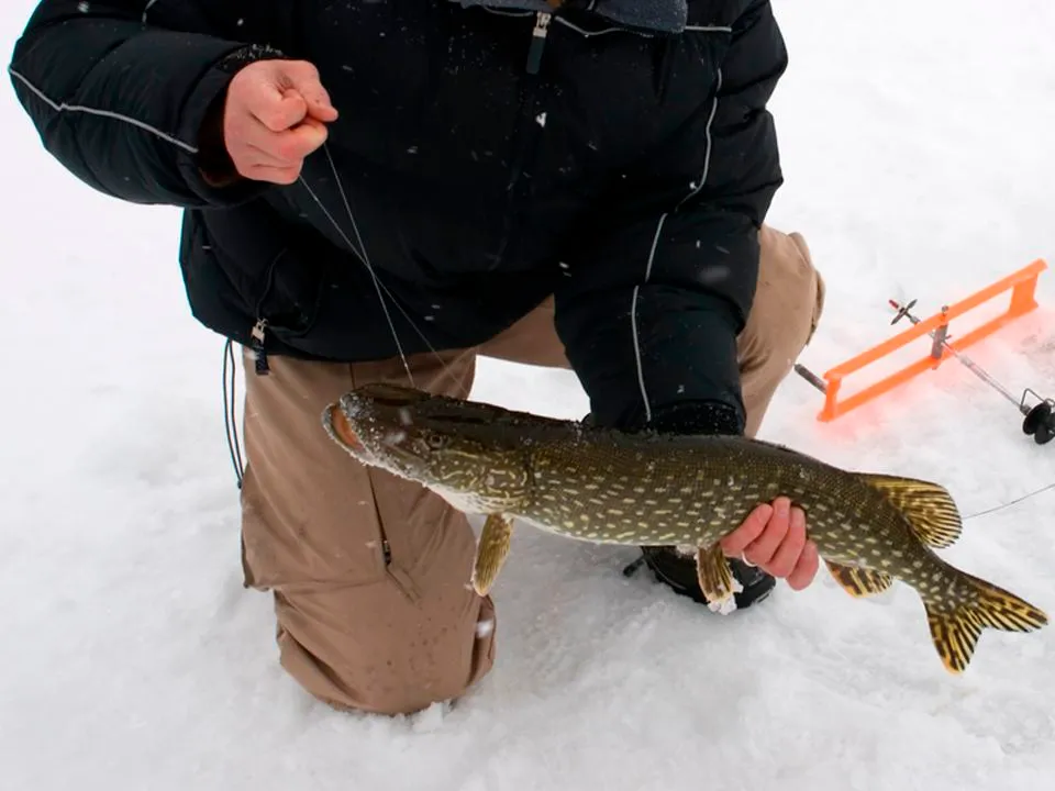 Фото: istockphoto.com