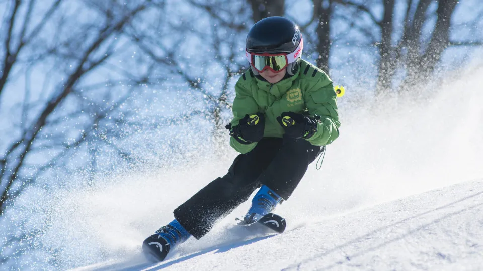 Фото: pxhere.com