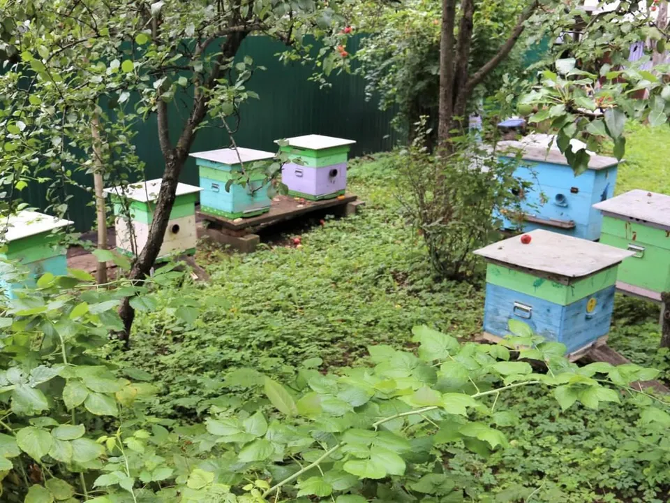 Фото: Алена Ахметова&nbsp;