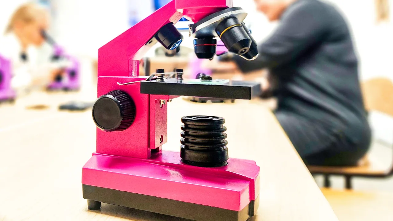 МедиаБанк Подмосковья/Мария Панина