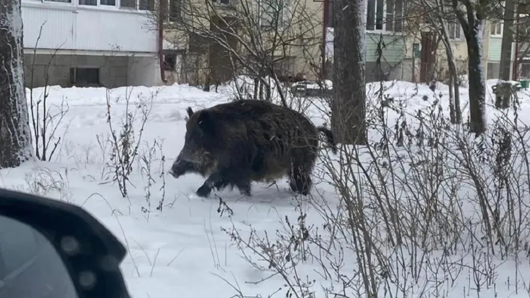 социальные сети