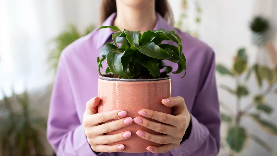 Фото: freepik.com