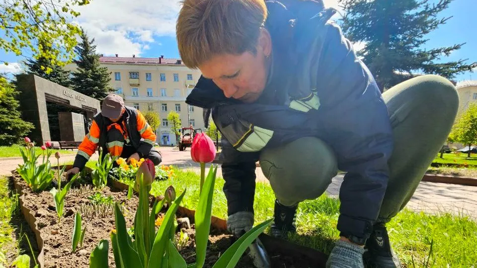 Фото: администрация г.о.Клин