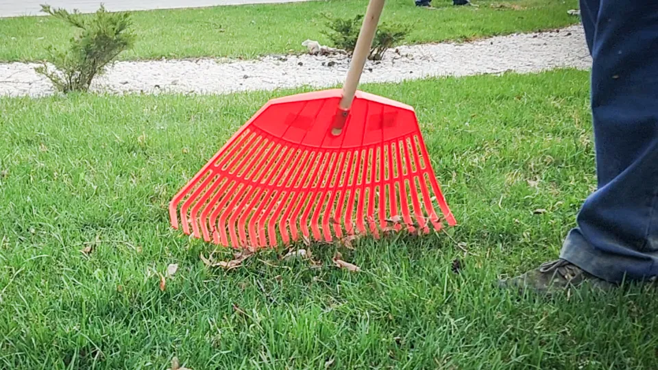 Фото: МедиаБанк Подмосковья/Ольга Антонова