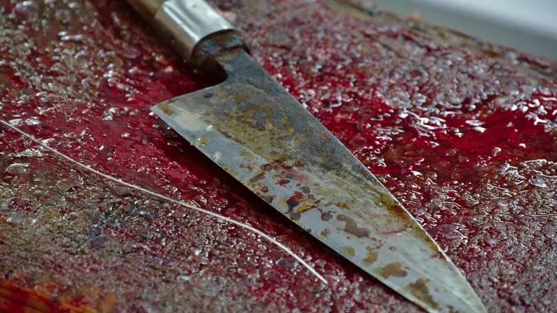 Псих с ножом тяжело ранил прохожего в Люберцах