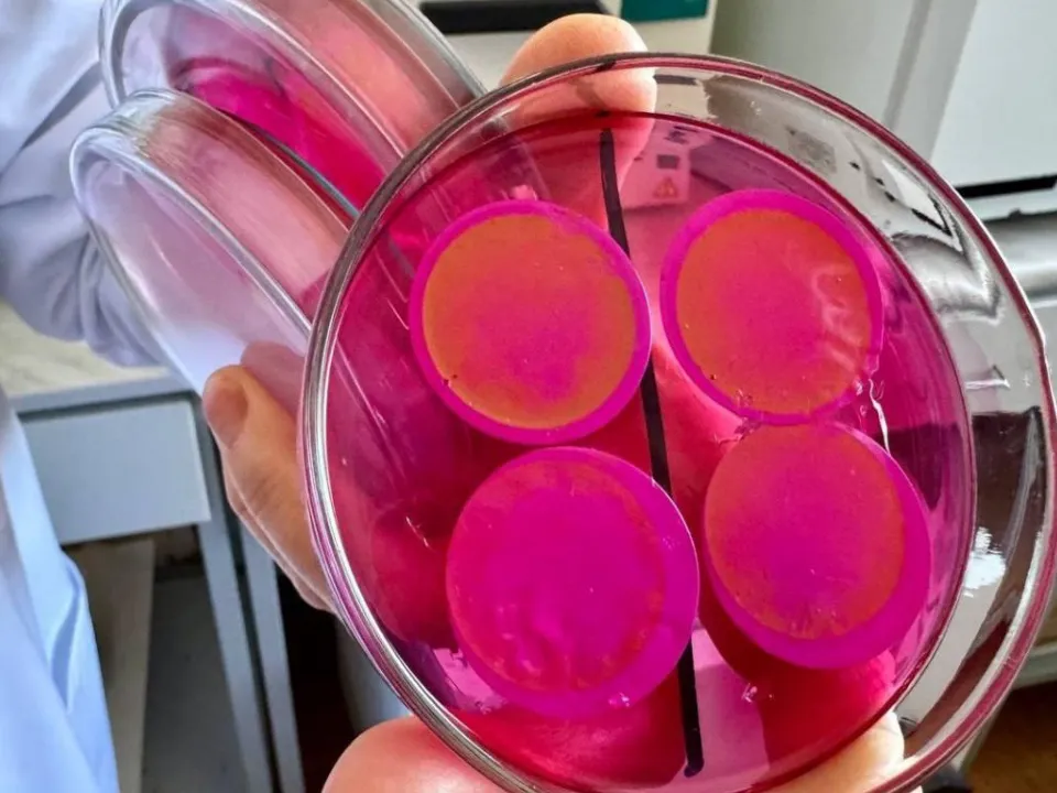 Фото: МинЖКХ МО