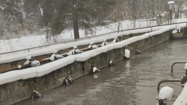 Фото: МОС АВС / Telegram