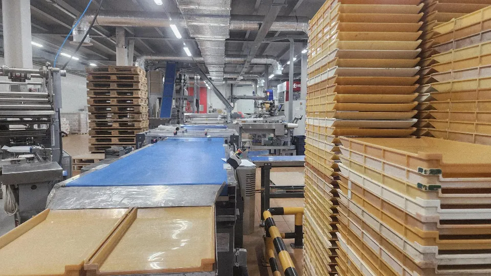 Фото: МедиаБанк Подмосковья/Юлия Андросова