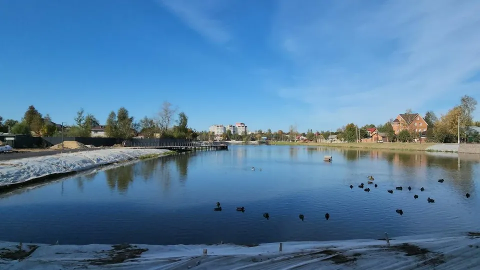 Фото: Министерство благоустройства Московской области