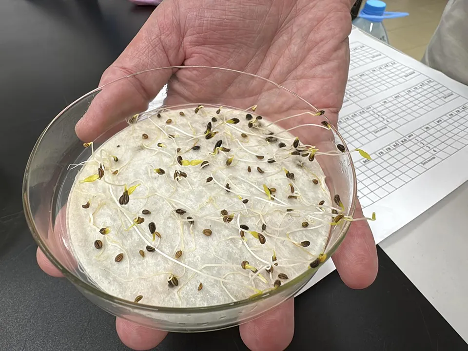 Фото: REGIONS/Мария Шматкова