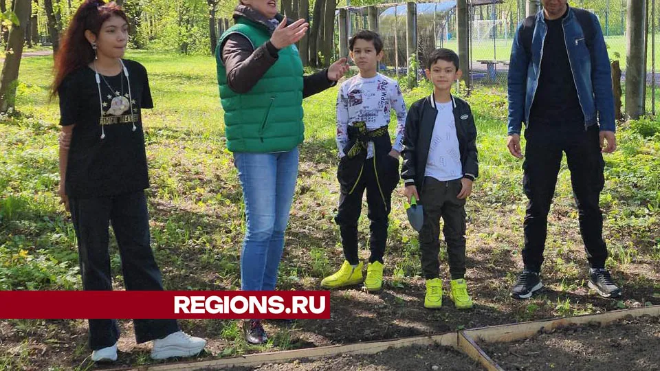 Фото: Валерия Тингаева