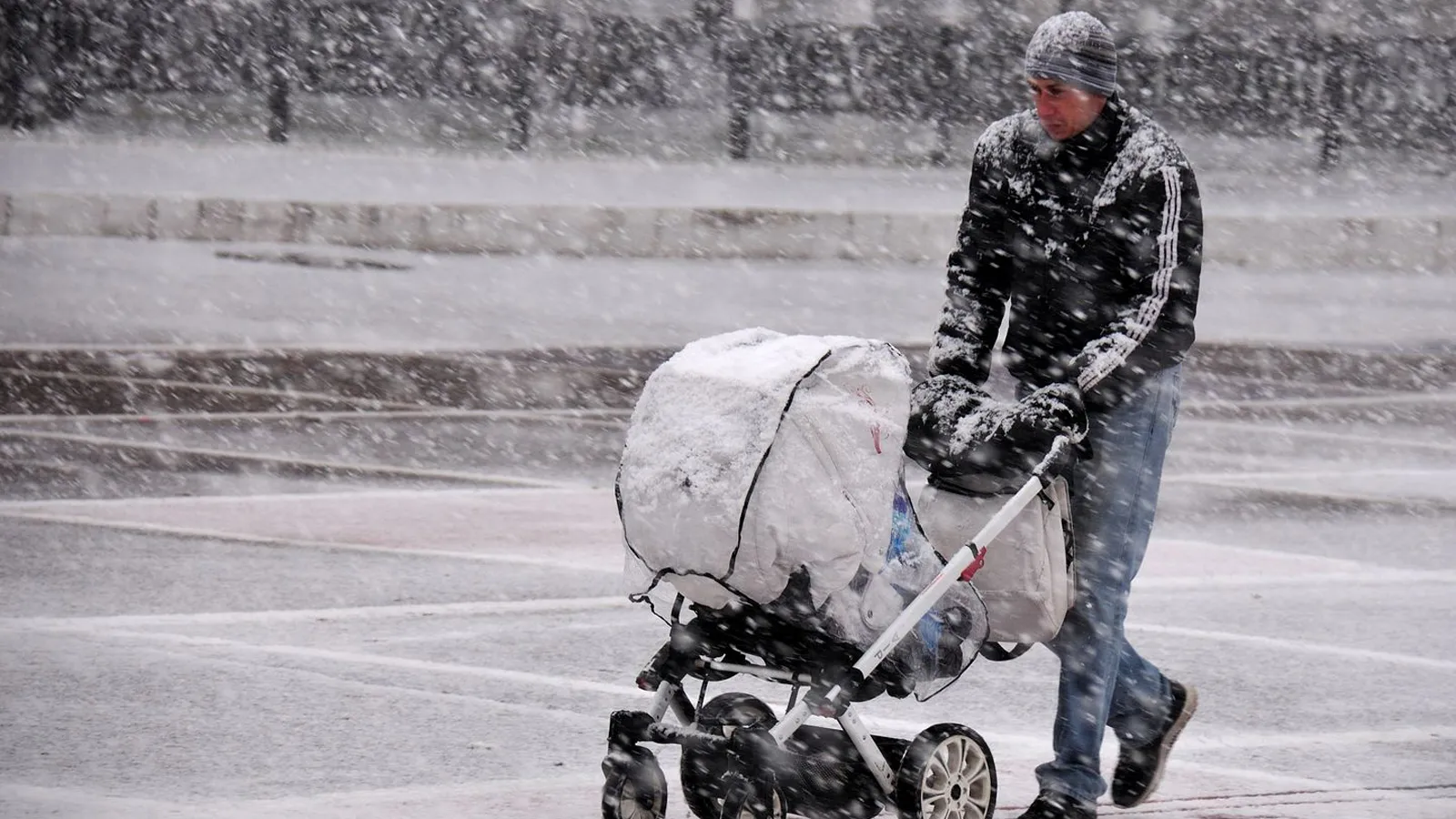 Фото: медиасток.рф