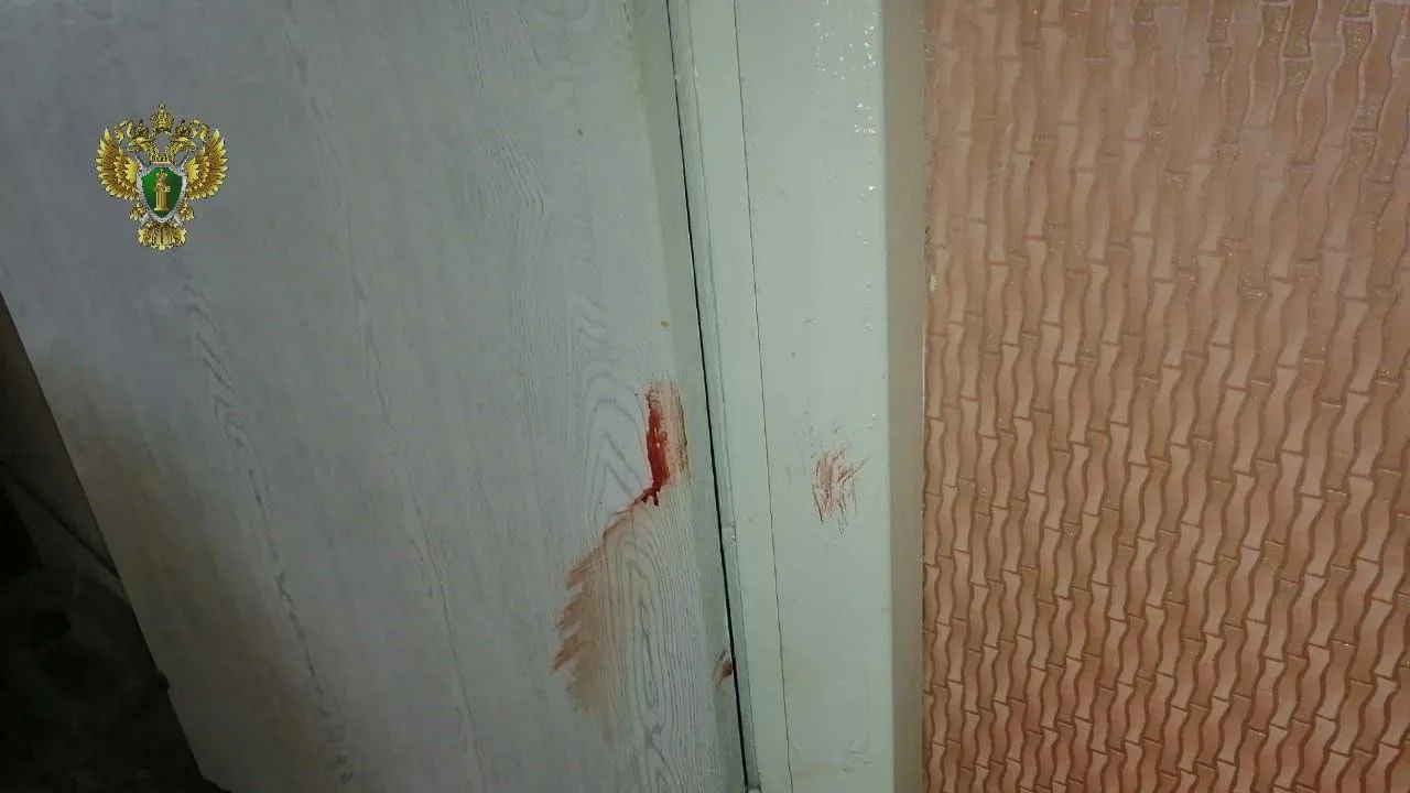 Житель Каширы получил 12 лет колонии за убийство матери и покушение на убийство брата