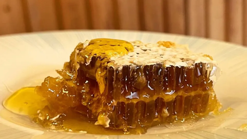 Фото: МедиаБанк Подмосковья/Елена Шумакова