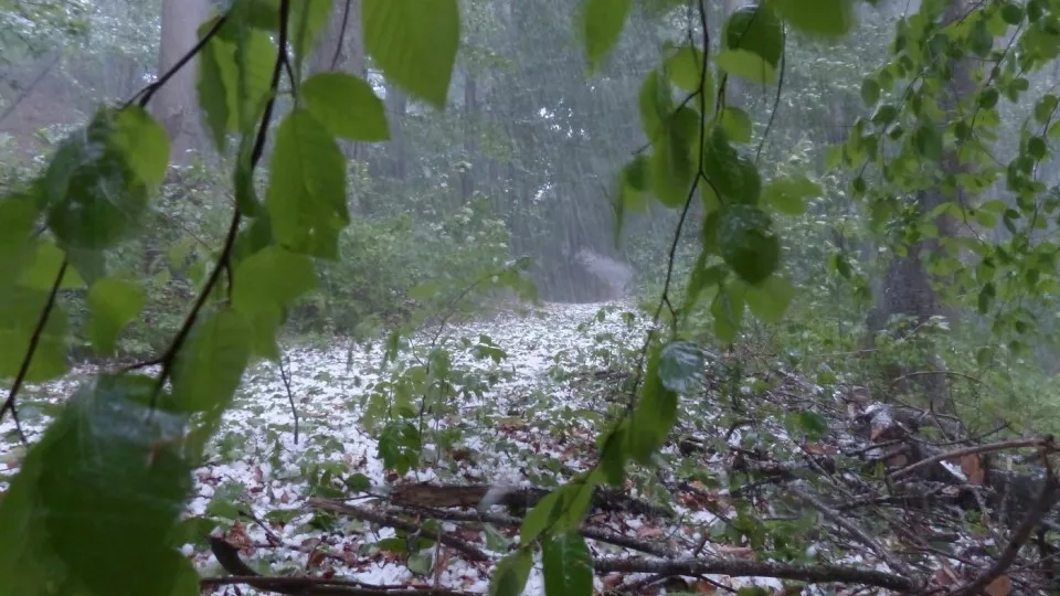 Фото: pxhere.com