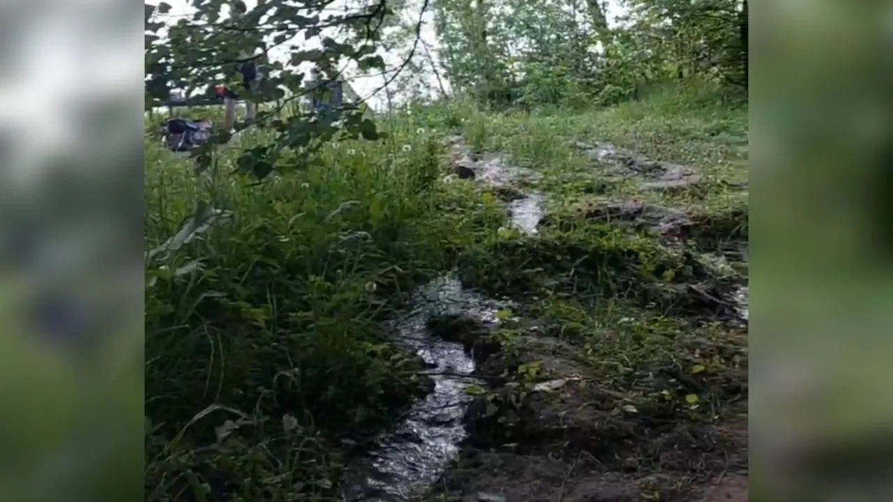 Фото: t.me/proslushanosolnechnogorsk