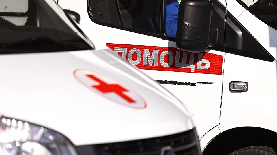 Фото: ИД «Подмосковье»