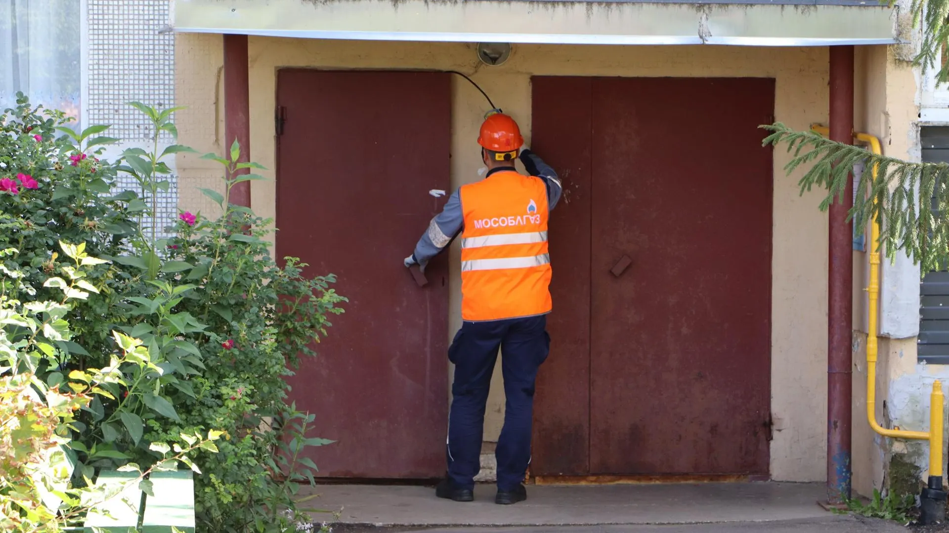 Фото: Ирина Матвеева