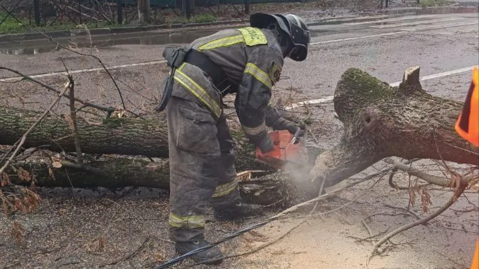 Фото: ГКУ МО «Мособлпожспас»