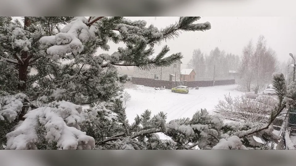 Фото: Надежда Чекалина