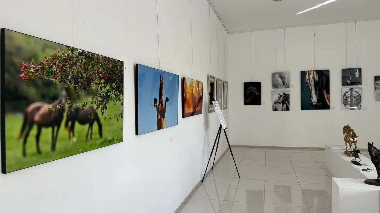 Фото: пресс-служба администрации Можайского городского округа