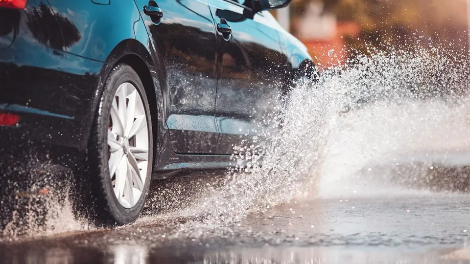 Фото: istockphoto.com/LeManna