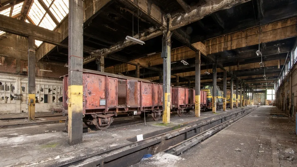 Фото: freepik.com